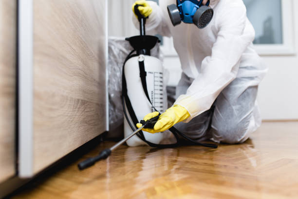 Trusted Mercer Island, WA Pest Control Experts