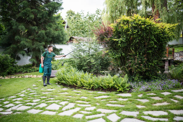 Flea Control Services in Mercer Island, WA