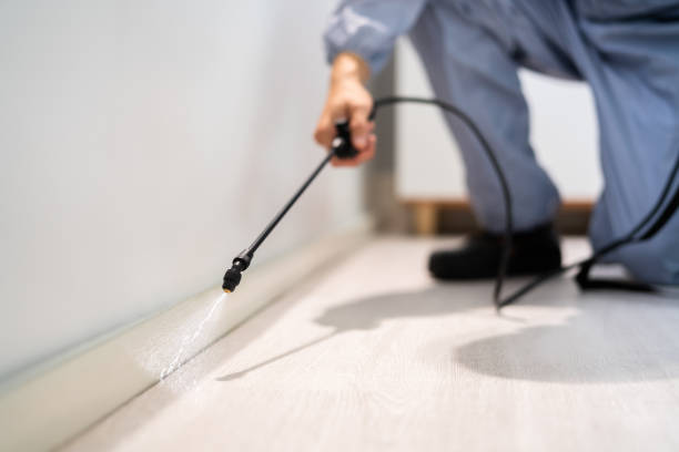 Reliable Mercer Island, WA Pest Control Solutions