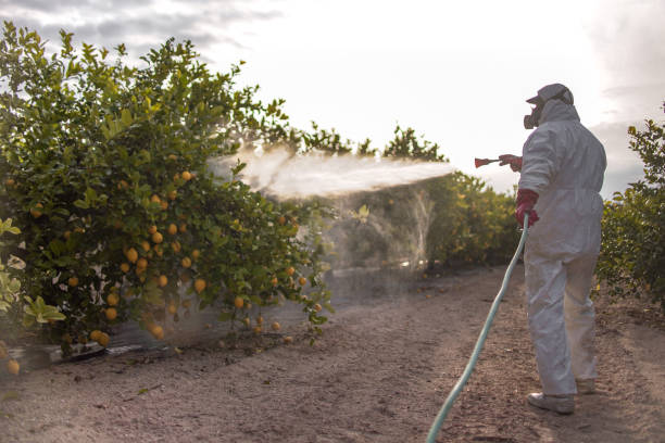 Best Emergency Pest Control  in Mercer Island, WA