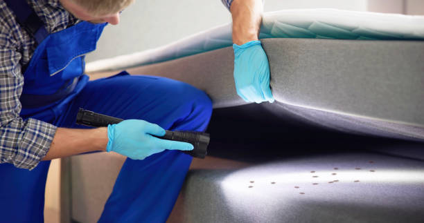 Best Pest Prevention Services  in Mercer Island, WA