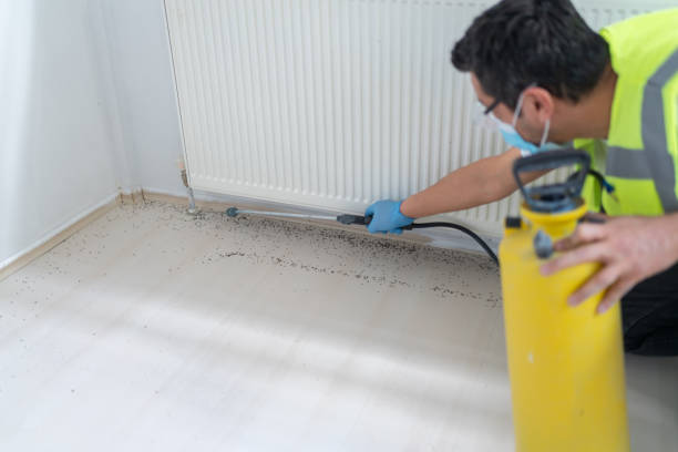 Best Affordable Pest Control Services  in Mercer Island, WA