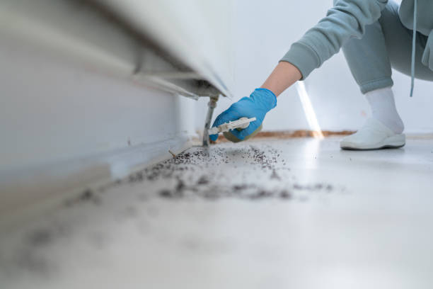 Best Bed Bug Extermination  in Mercer Island, WA