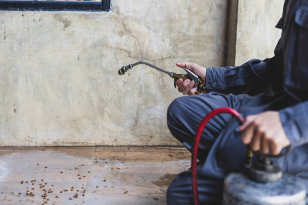 Best Best Pest Control Companies  in Mercer Island, WA