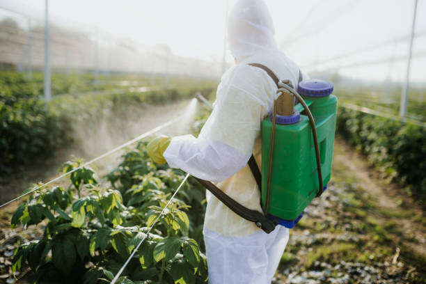Best Affordable Pest Control Services  in Mercer Island, WA